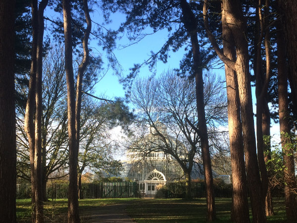 A glass palm house visible through trees
